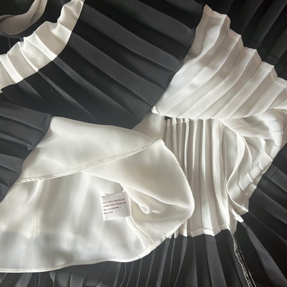 Suzy Chin Pleated Stripe Dress Size 6 - Picture 3 of 6